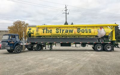 Maximizing Business Exposure with Truck Advertising Wraps and Vehicle Lettering